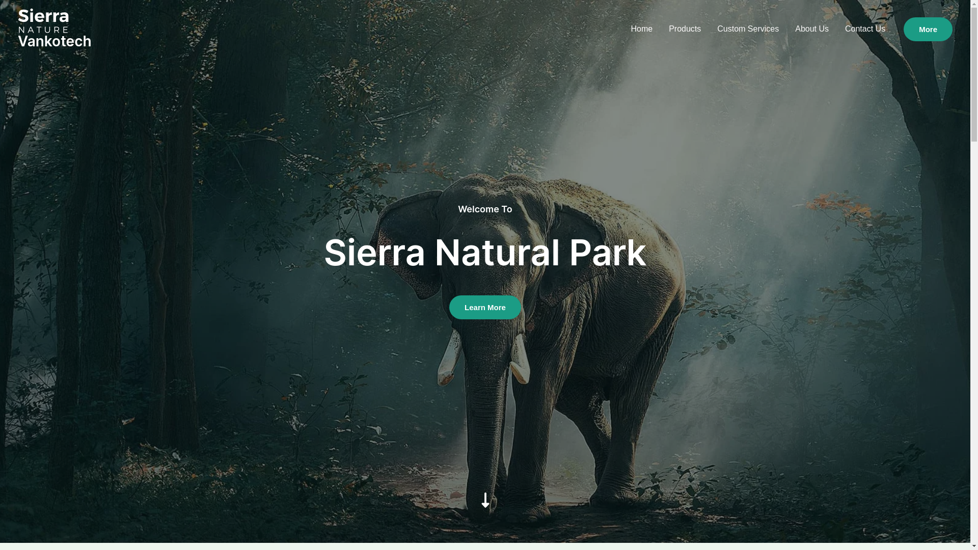 website screenshot of https://vankotech.tech/