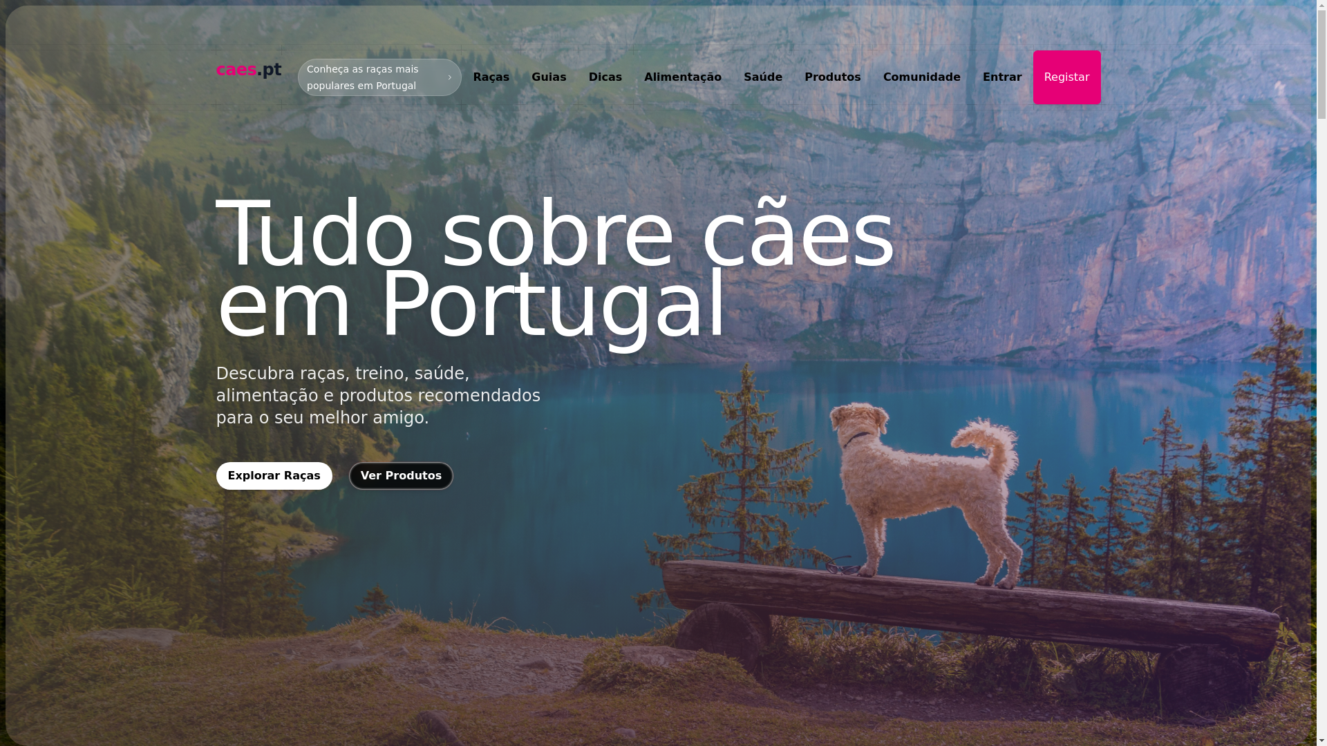 website screenshot of https://caes.pt/