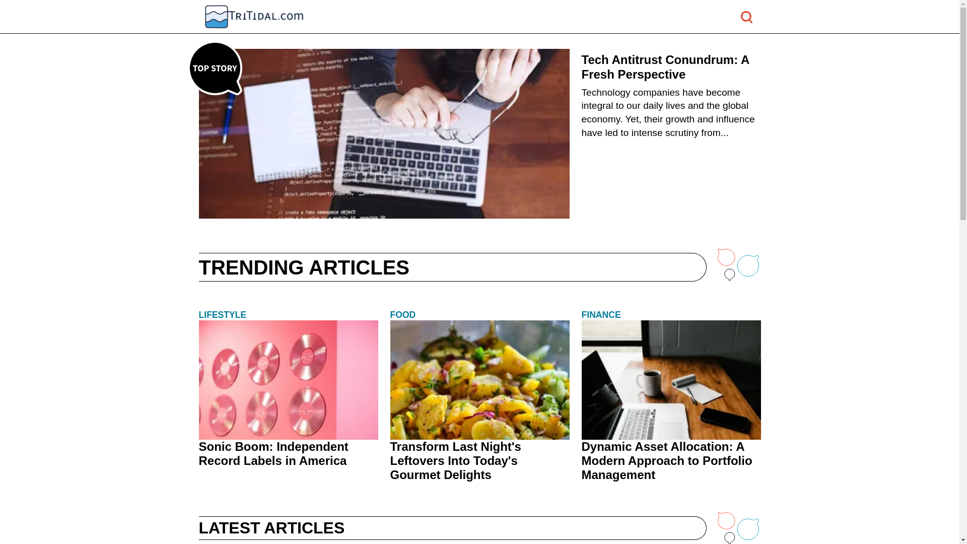 website screenshot of https://tritidal.com/