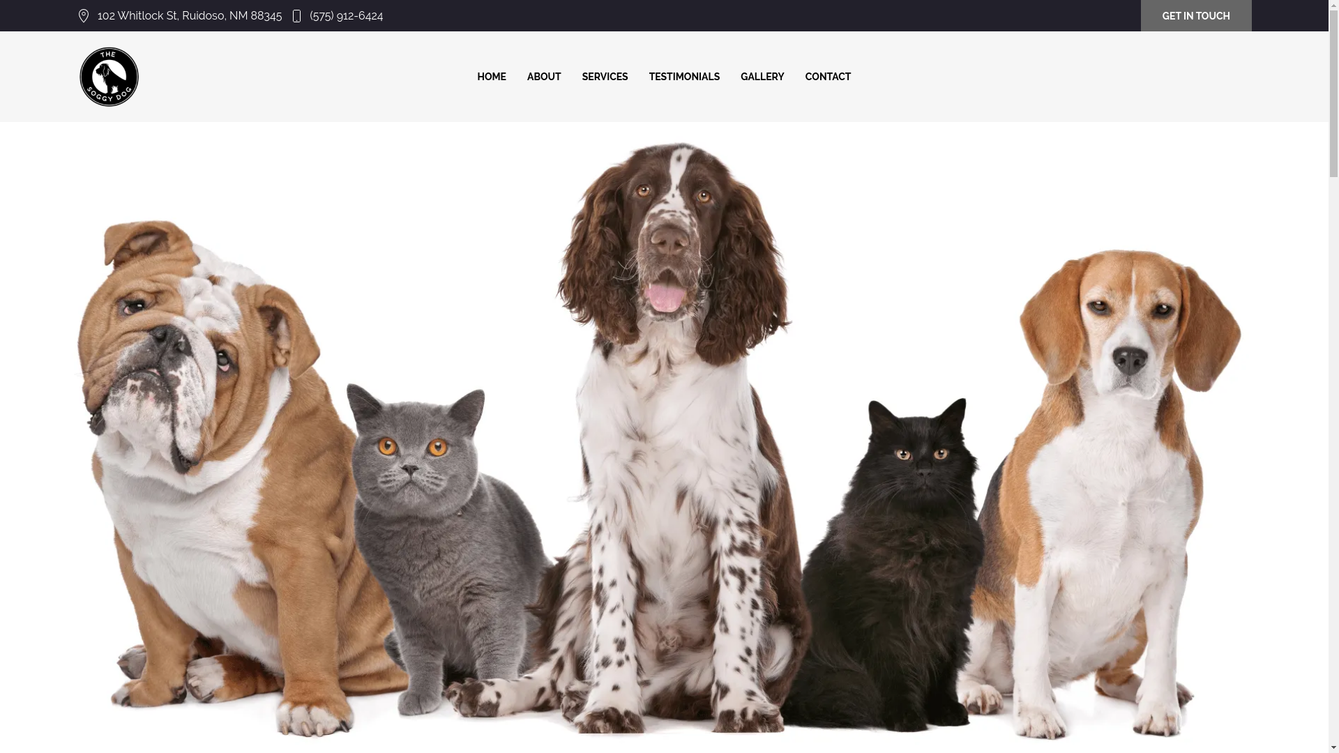 website screenshot of https://thesoggydogruidoso.com/