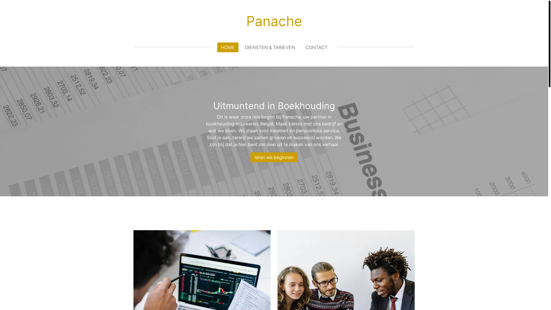 website screenshot of https://panache-consulting.be/