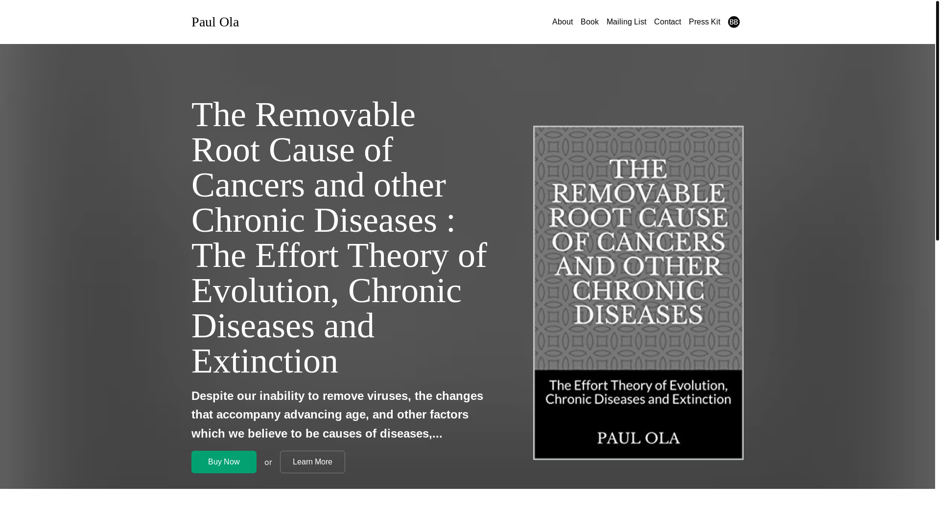 website screenshot of https://manutenery.com/