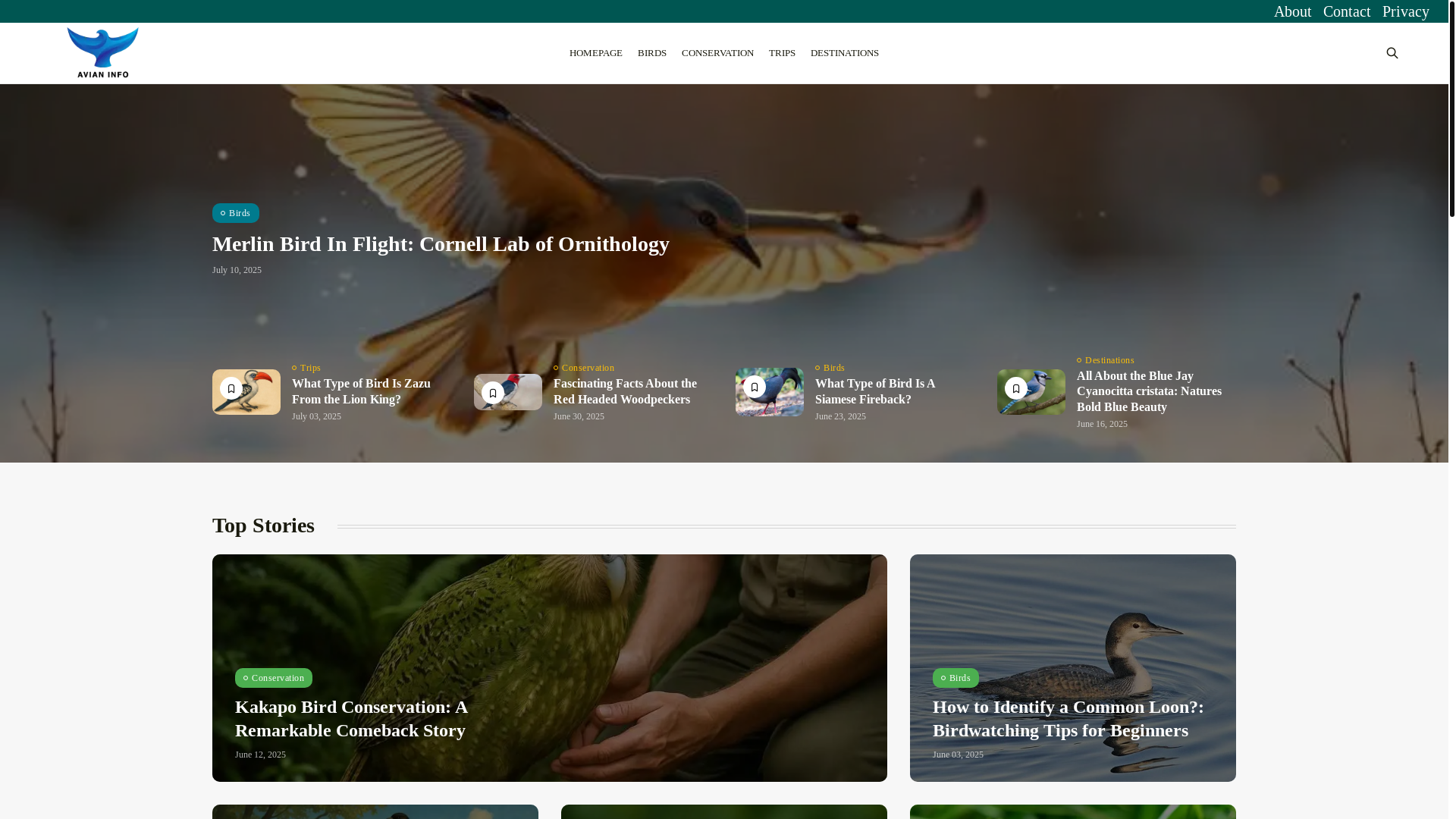 website screenshot of https://www.avianinfo.com/