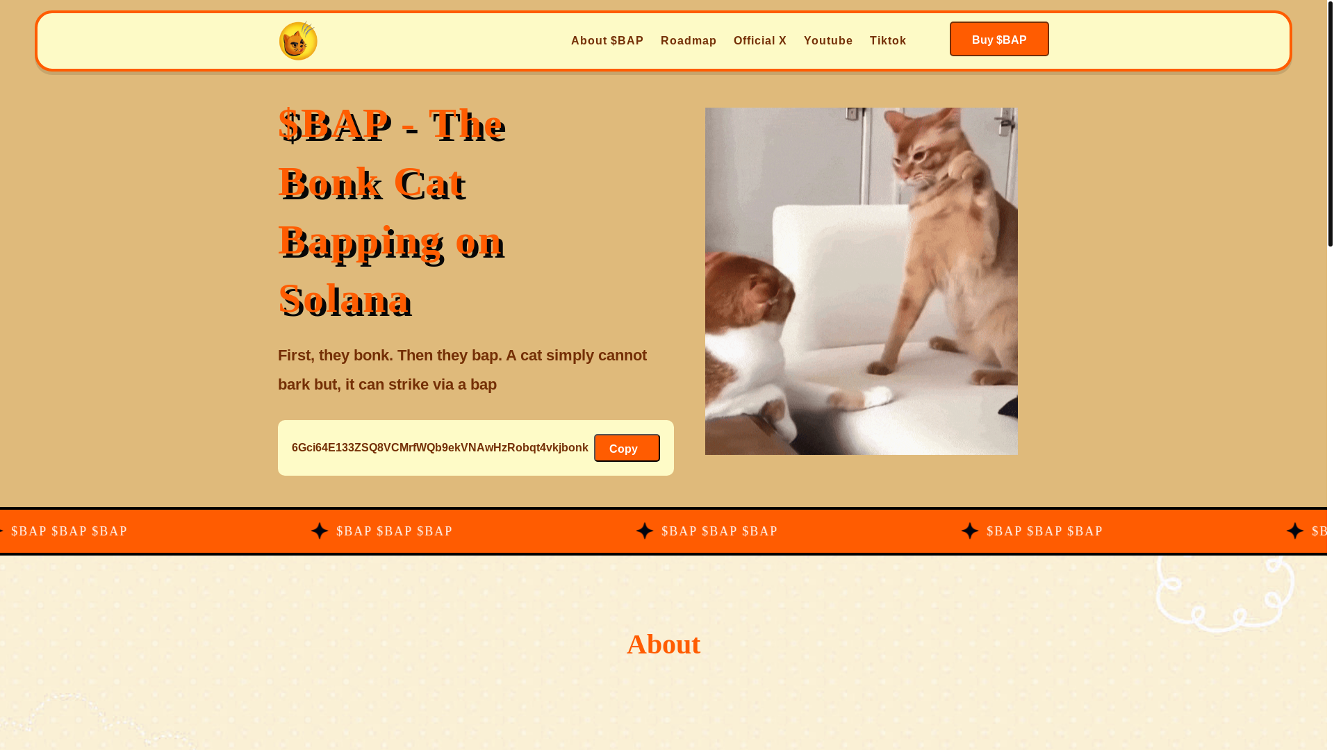 website screenshot of https://bapcatsol.com/