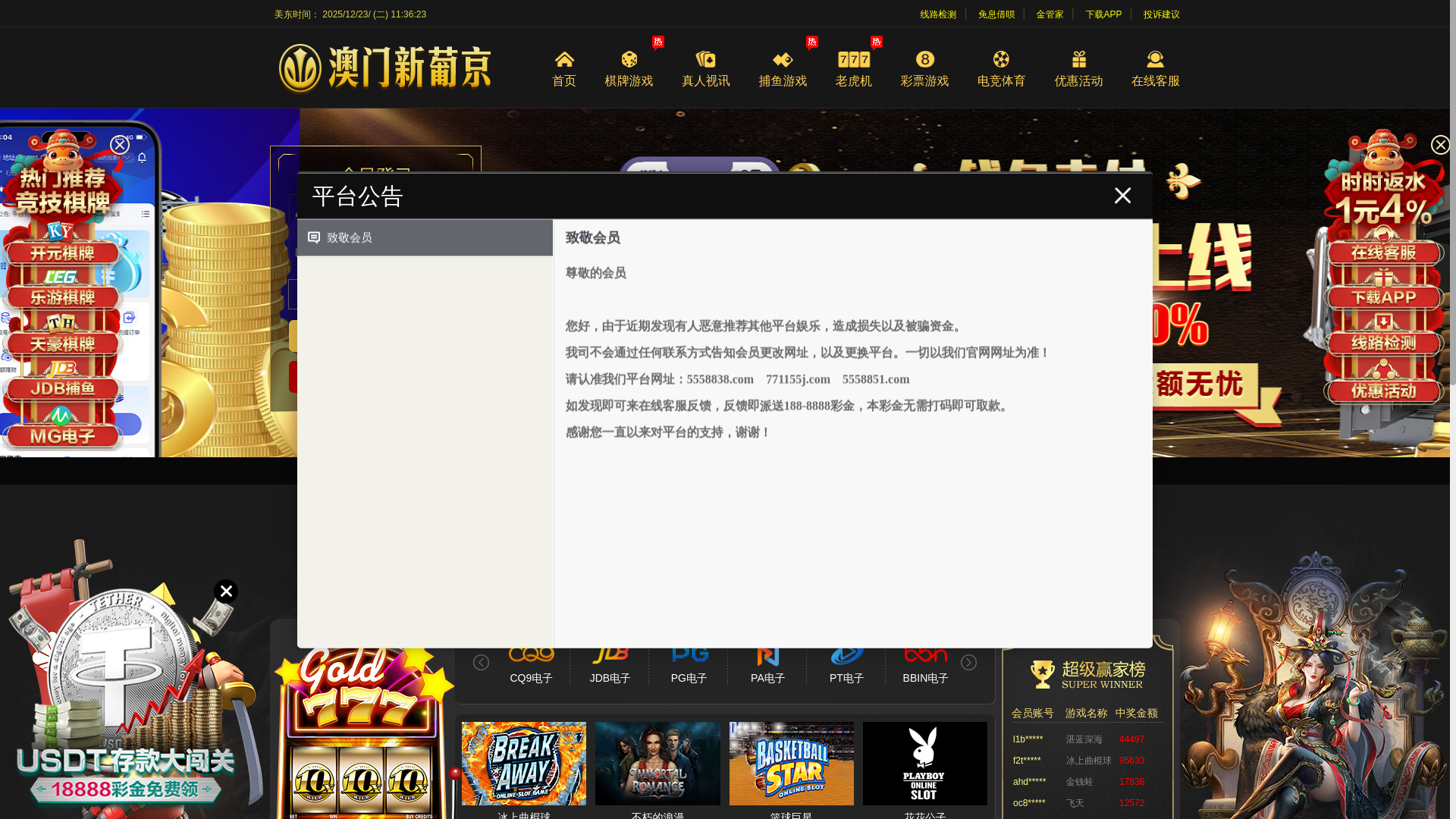 website screenshot of https://89219j.com