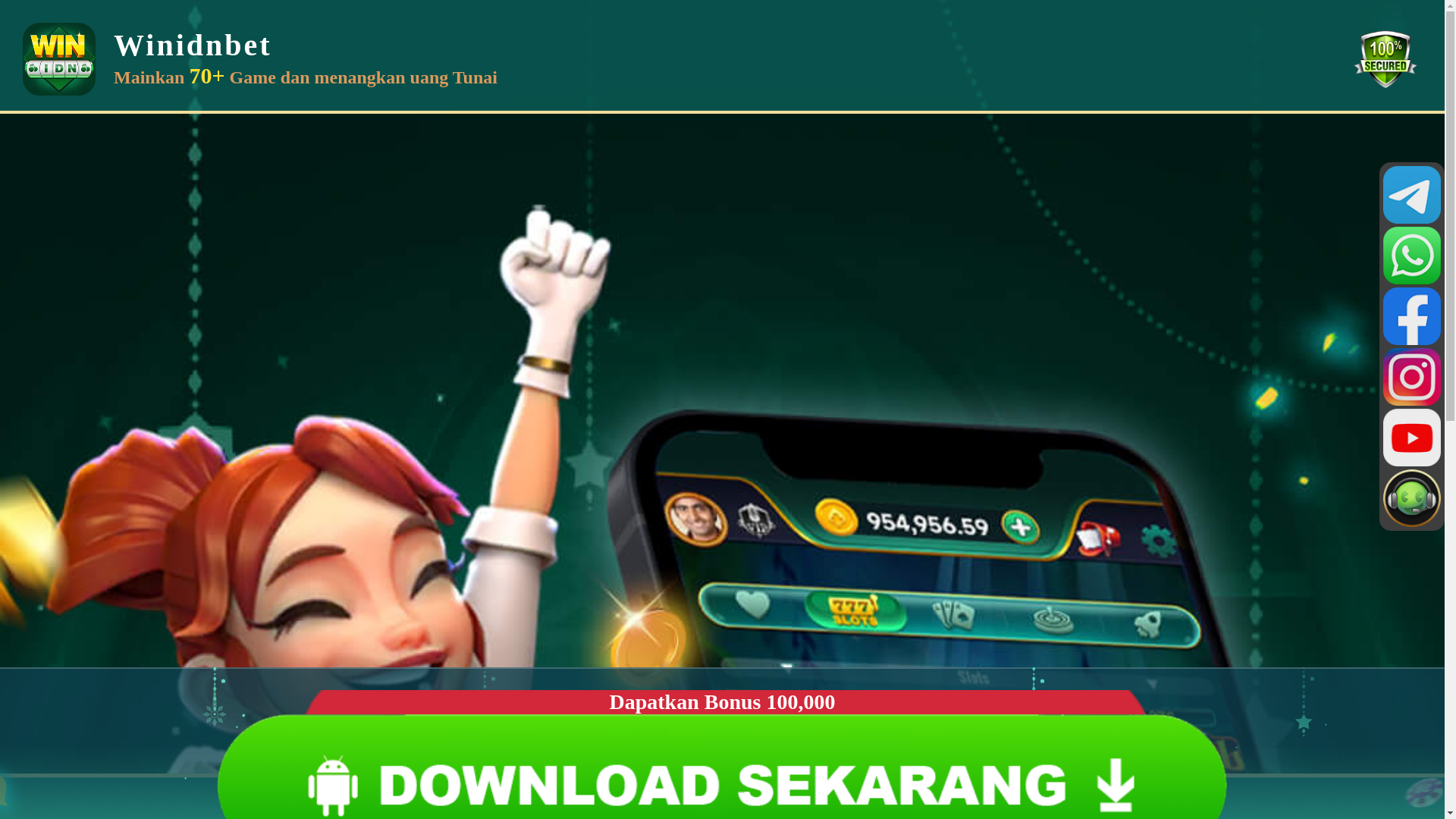 website screenshot of https://winidngame1.com/