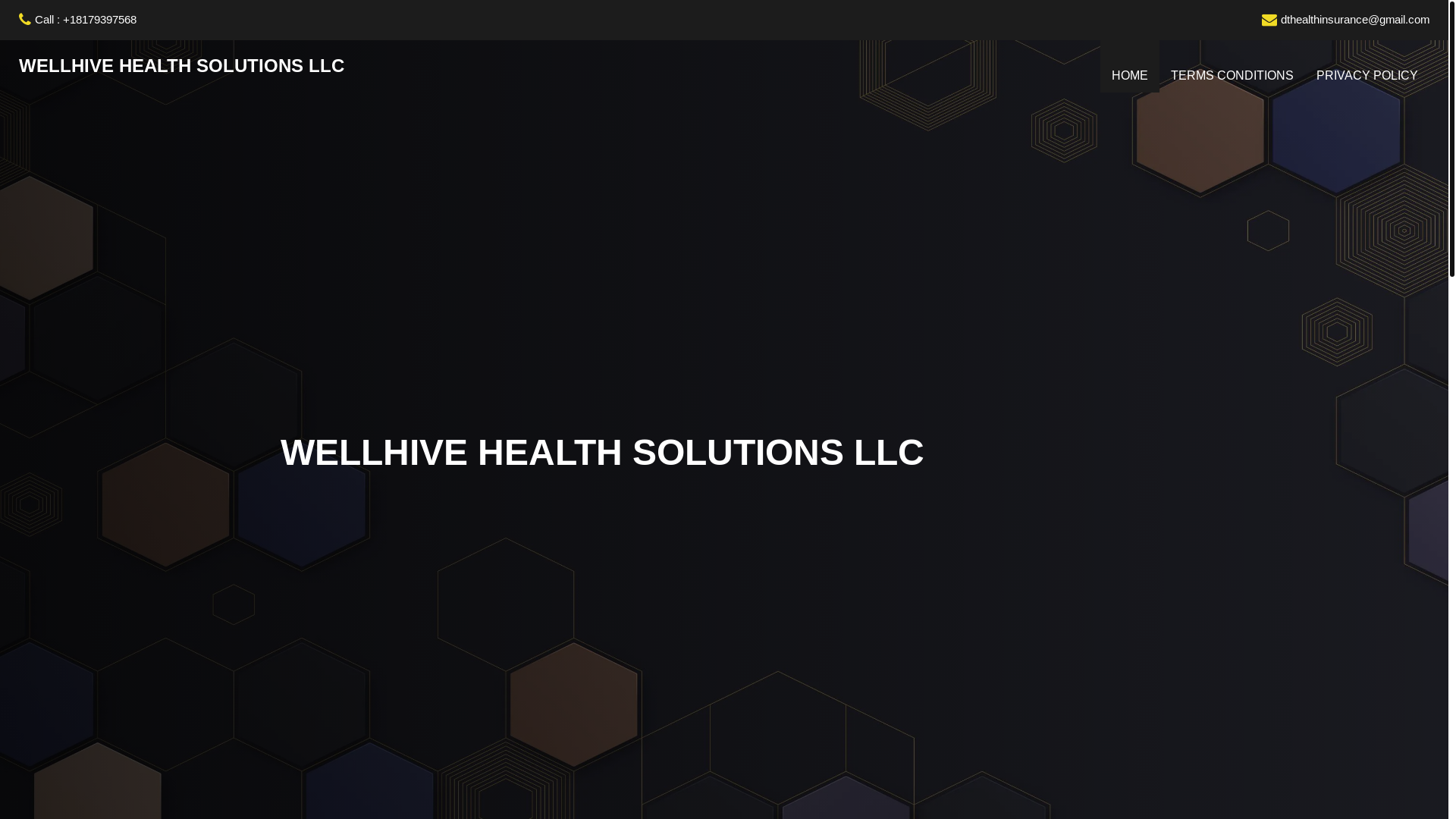 website screenshot of https://wellhivehealthsolutionsllc.site/