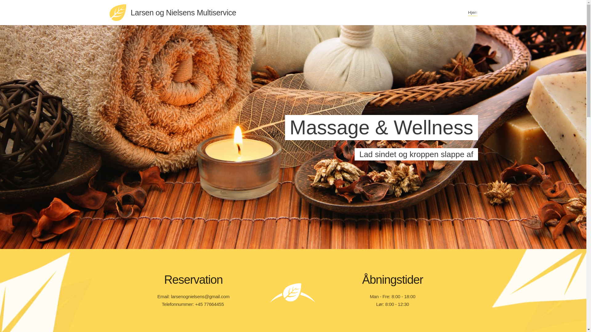 website screenshot of https://lnmultiservice.dk/