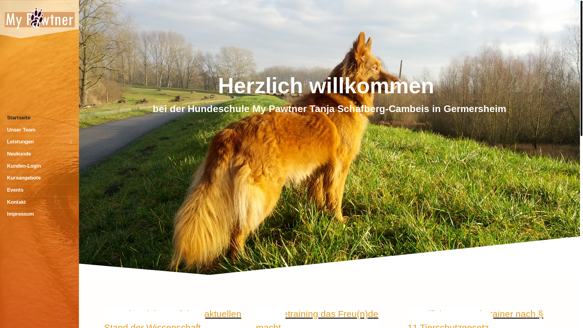 website screenshot of https://hundetrainer-germersheim.de/