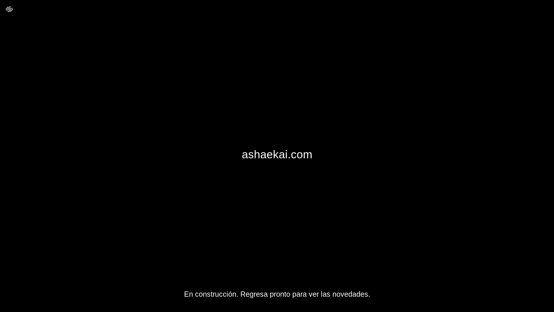 website screenshot of https://ashaekai.com/
