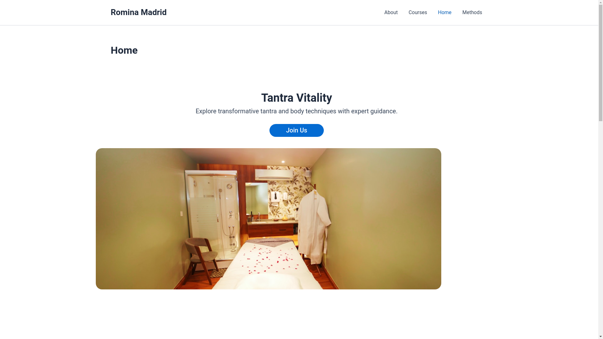 website screenshot of https://rominamadrid.com/