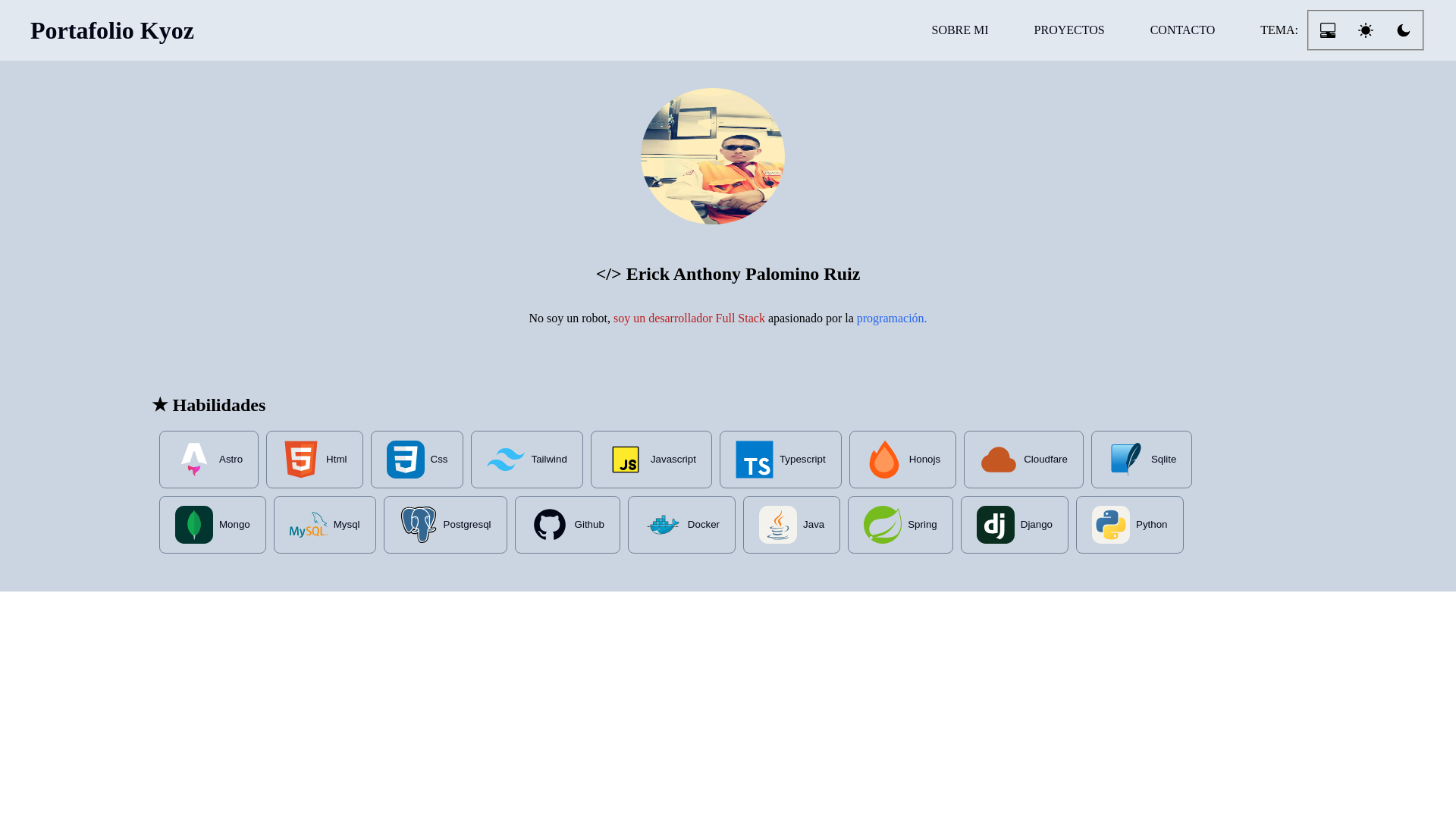 website screenshot of https://portafolio-3brnh.sevalla.page