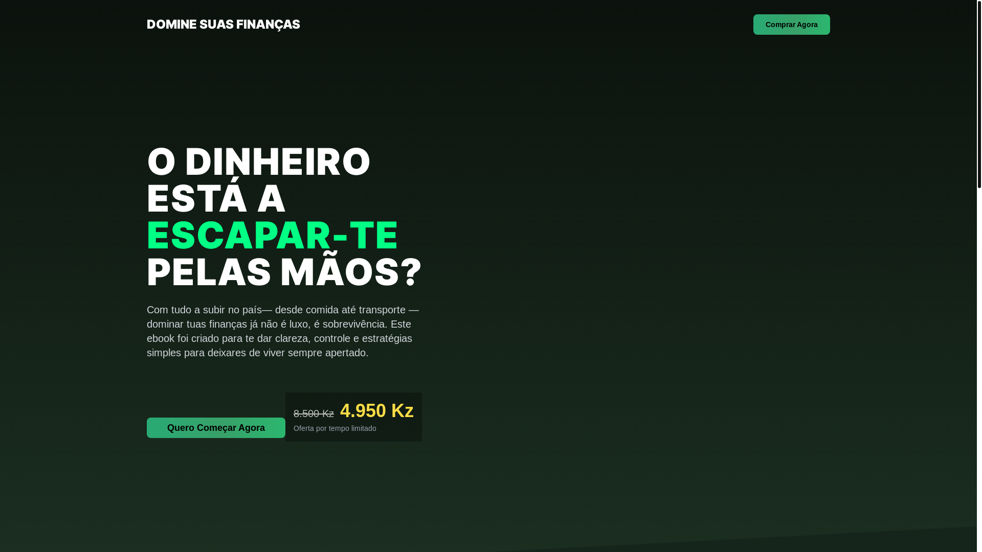 website screenshot of https://dominesuasfinancas.site/