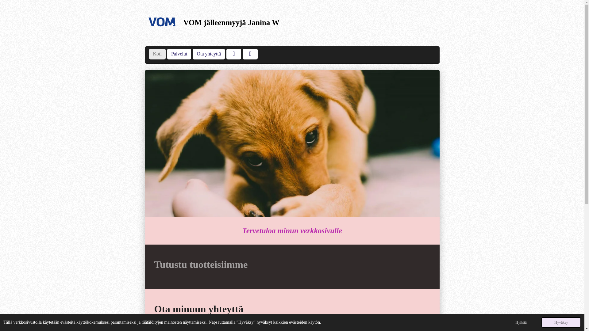 website screenshot of https://timanttitassu.com/
