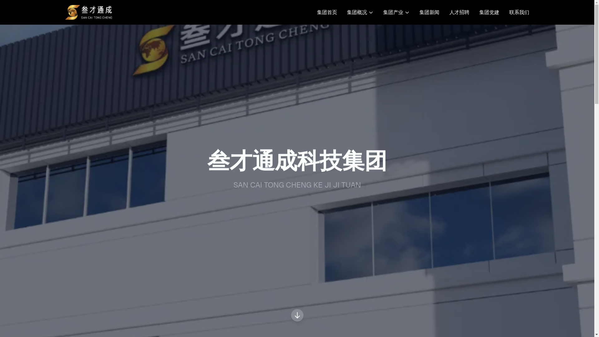 website screenshot of https://yangxiaobao.top/
