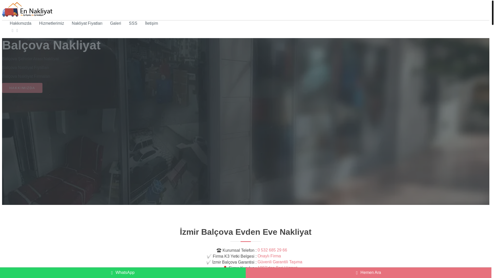 website screenshot of https://balcovanakliyat.net.tr/