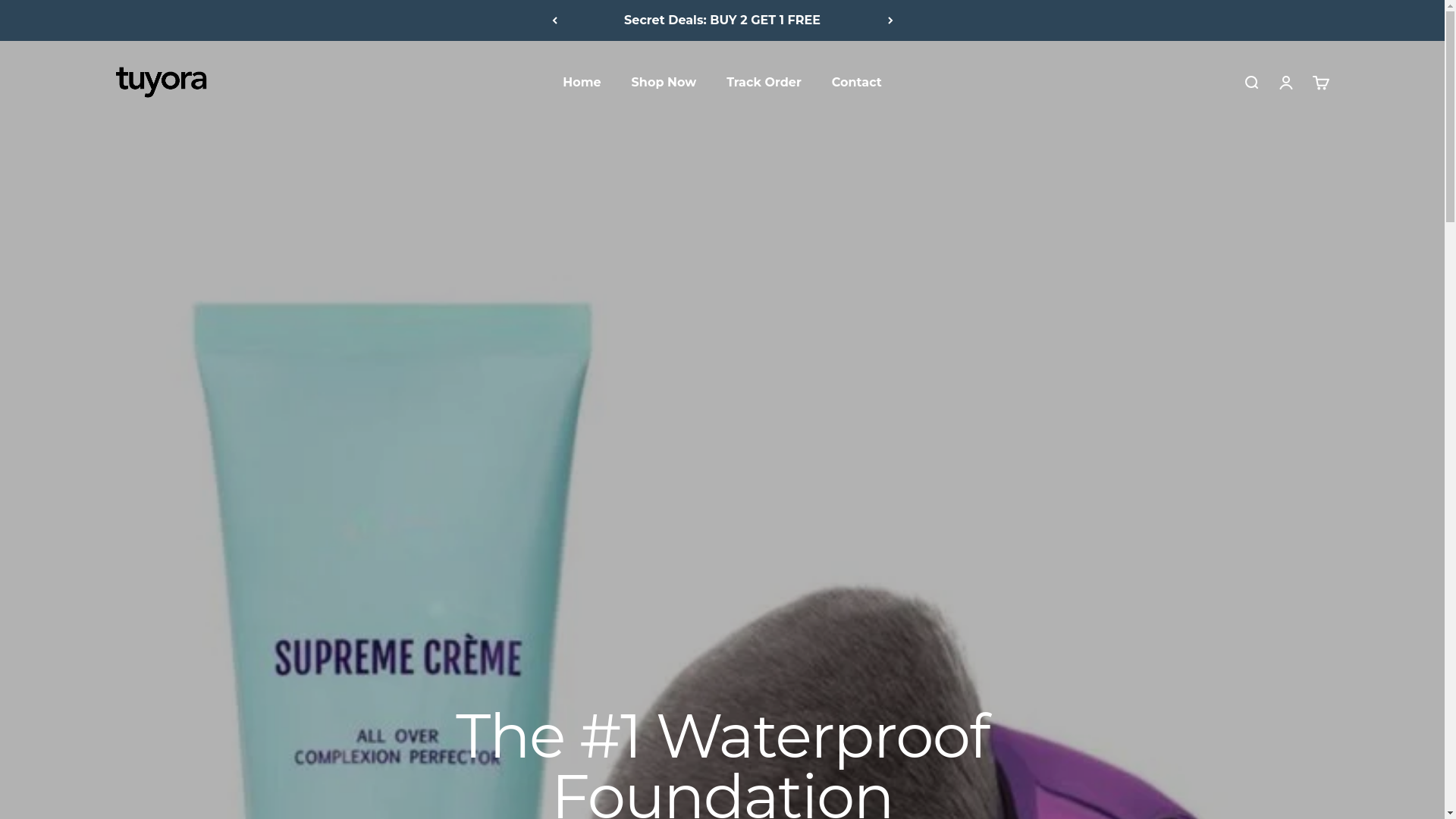 website screenshot of https://eternahold.com/