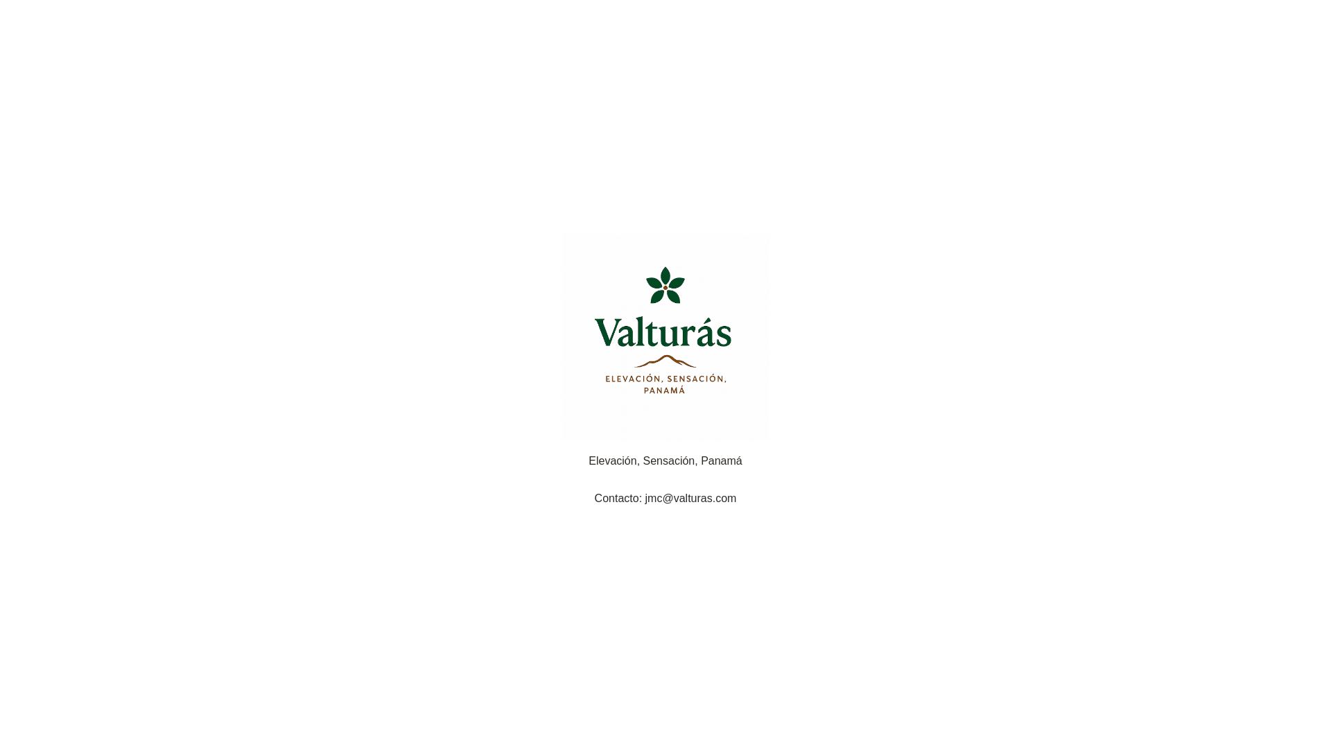 website screenshot of https://valturas-2.pages.dev/