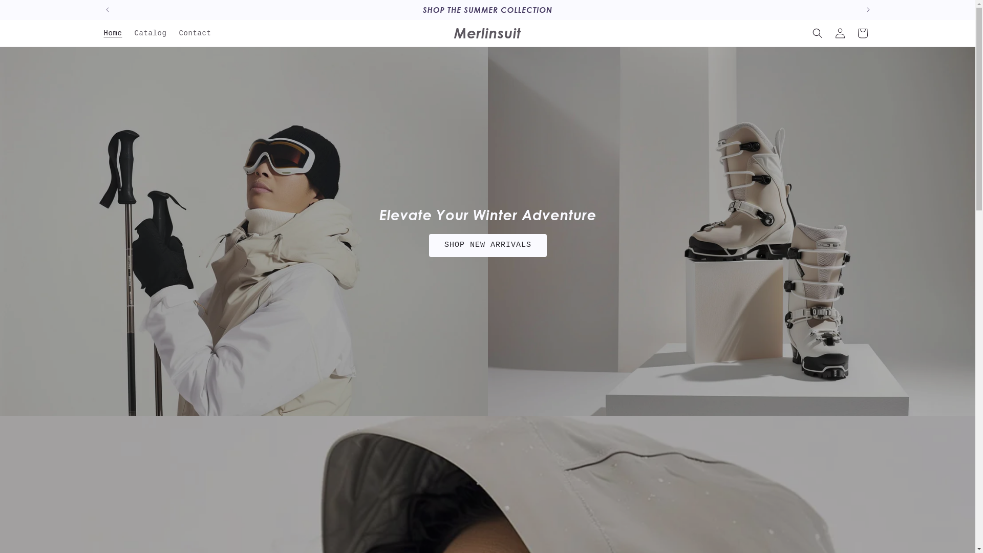 website screenshot of https://riansdachilly.shop/
