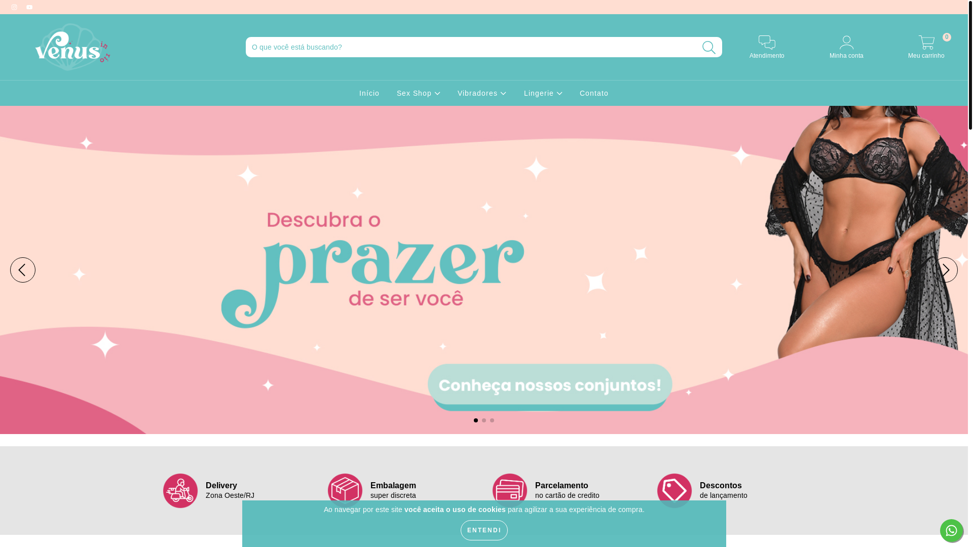 website screenshot of https://venusinrio.com.br/