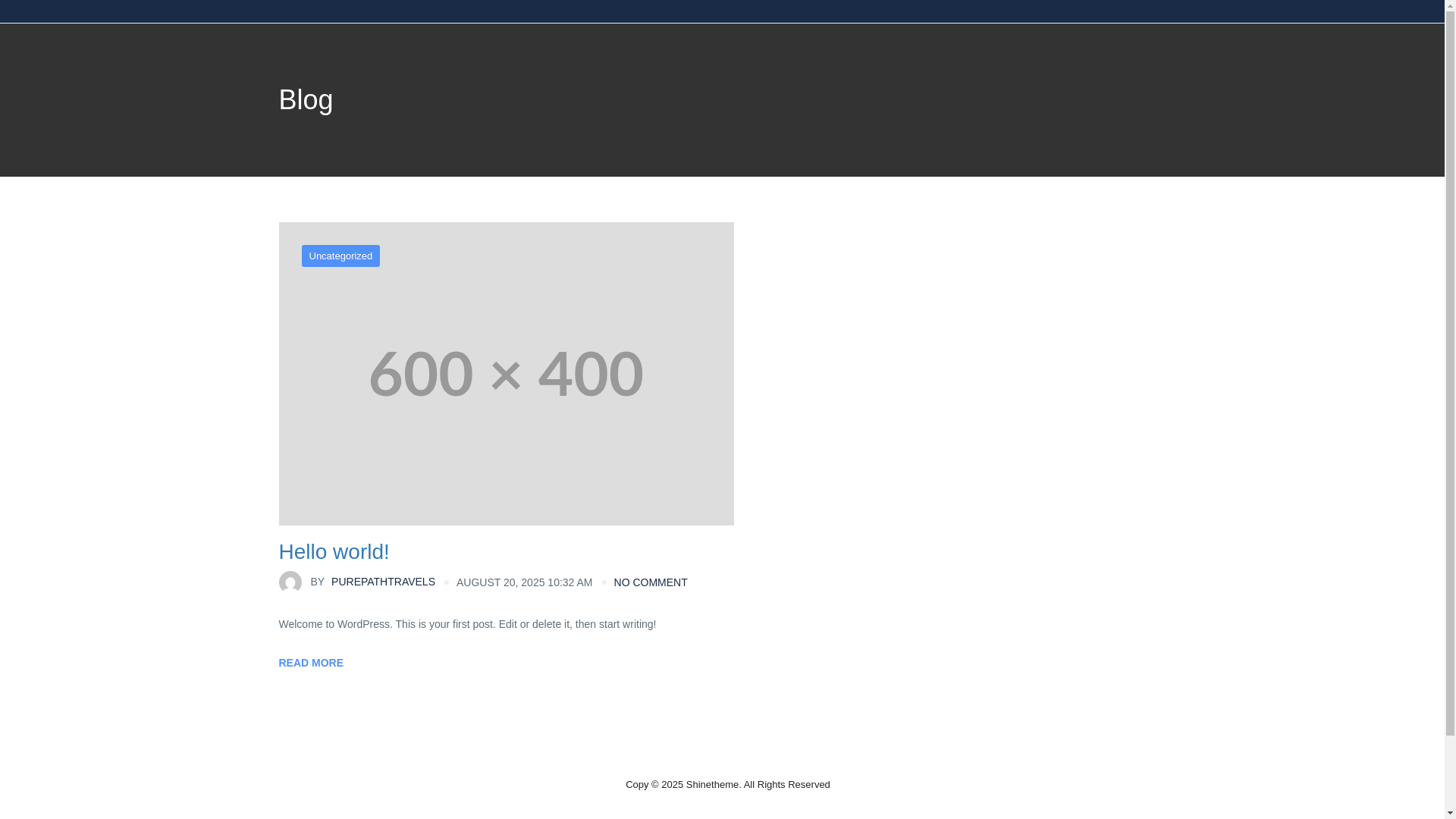website screenshot of https://purepathtravels.com/