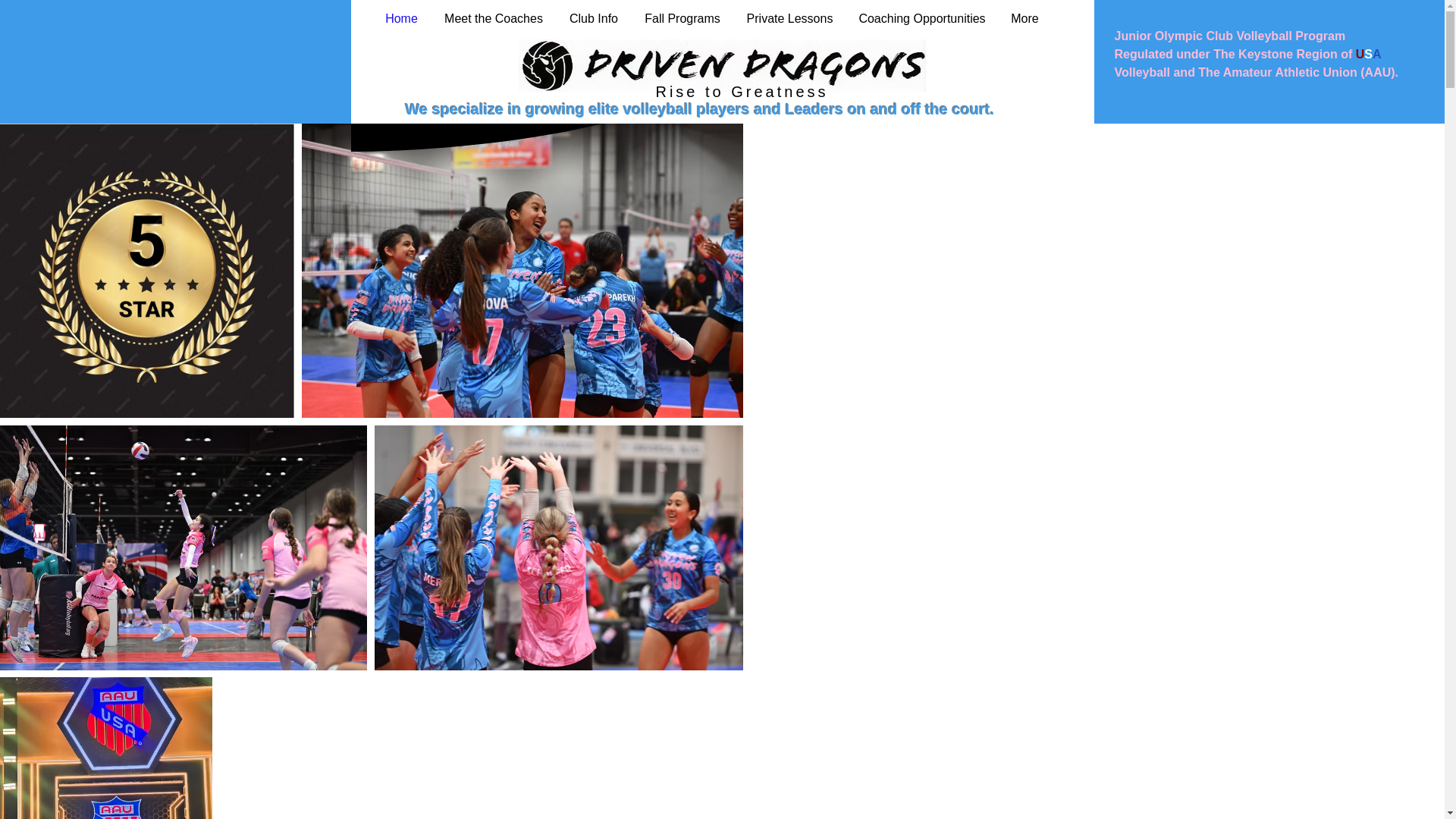 website screenshot of https://drivendragonsvolleyball.com/