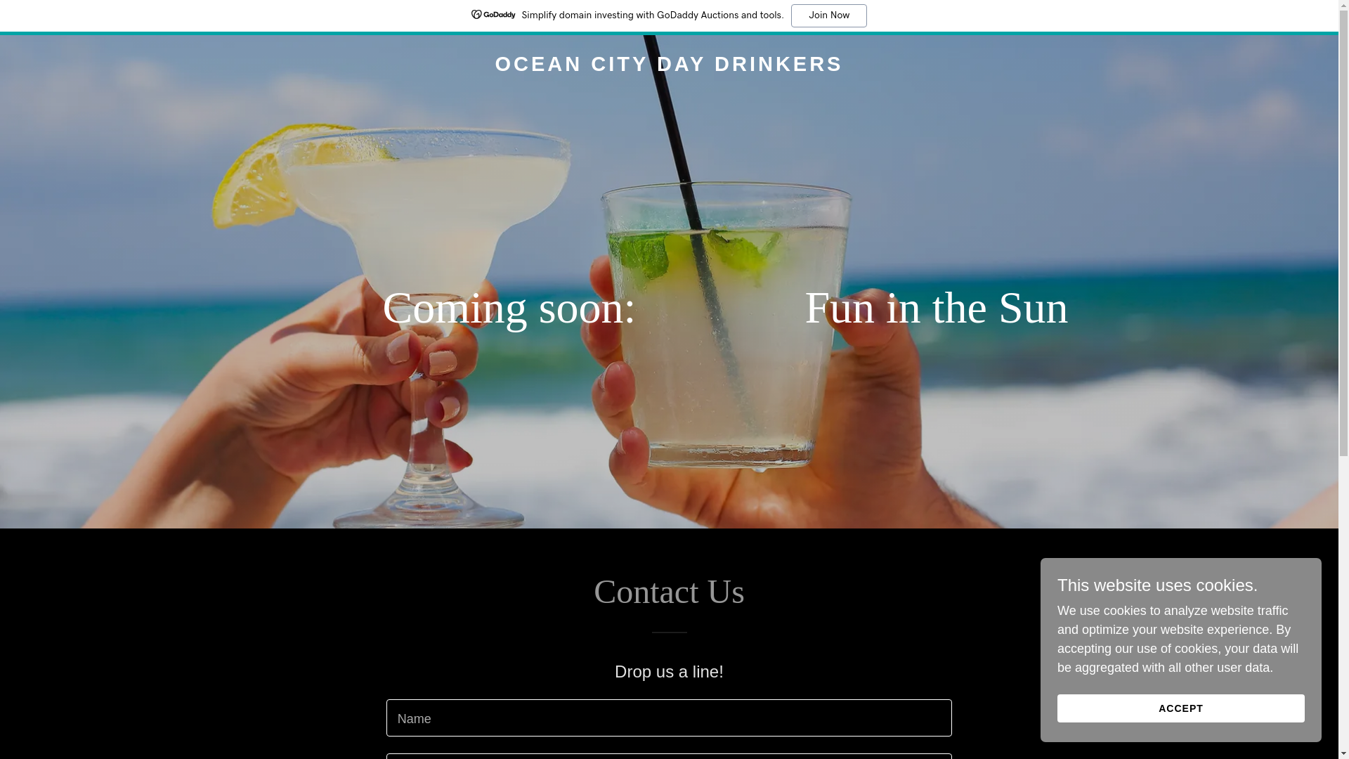 website screenshot of https://oceancitydaydrinker.com/
