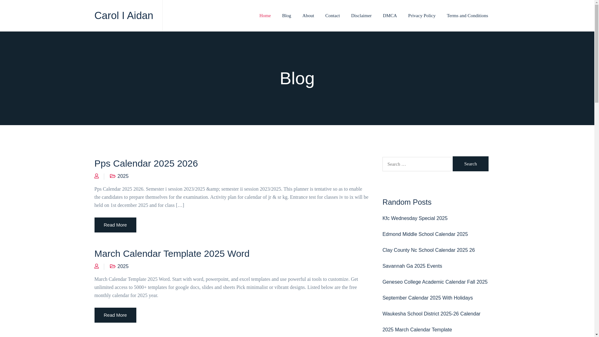 website screenshot of https://caroliaidan.pages.dev/