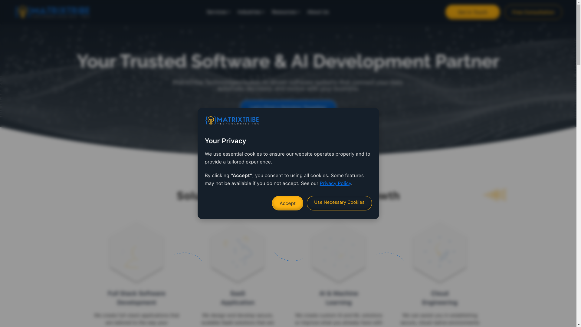website screenshot of https://thetrymatrixtribe.com/