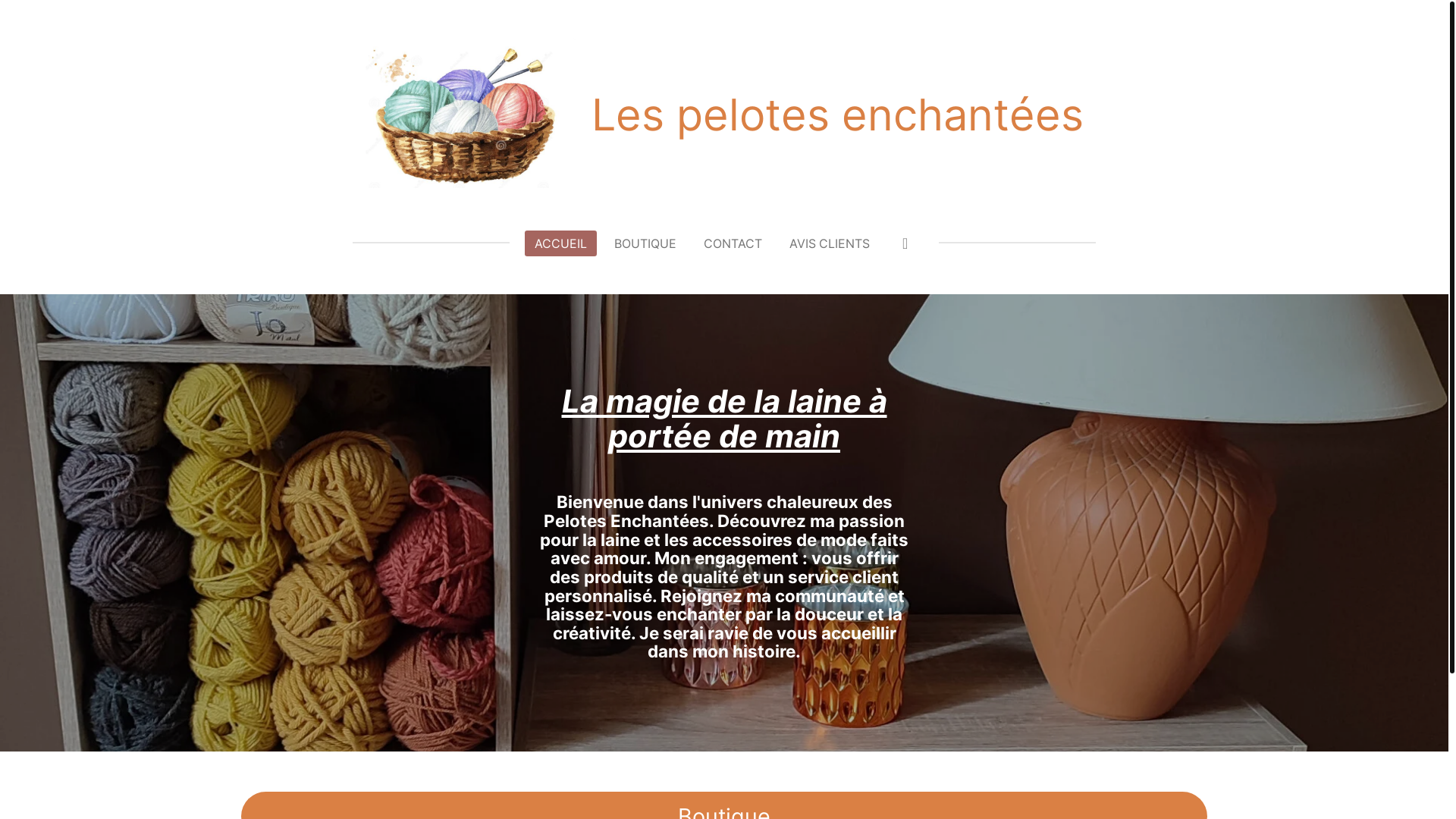 website screenshot of https://les-pelotes-enchantees.com/