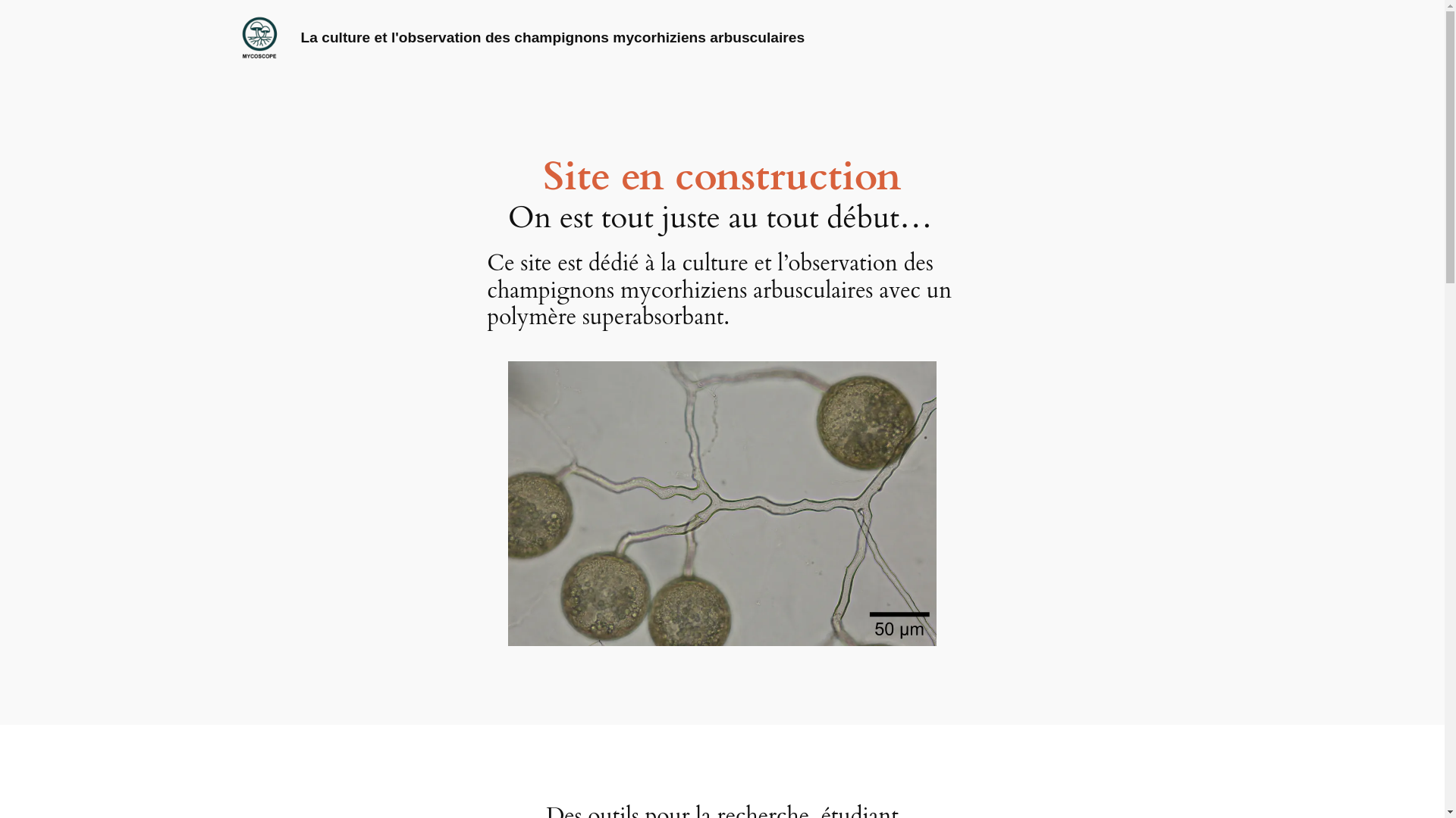 website screenshot of https://glomeroscope.com/