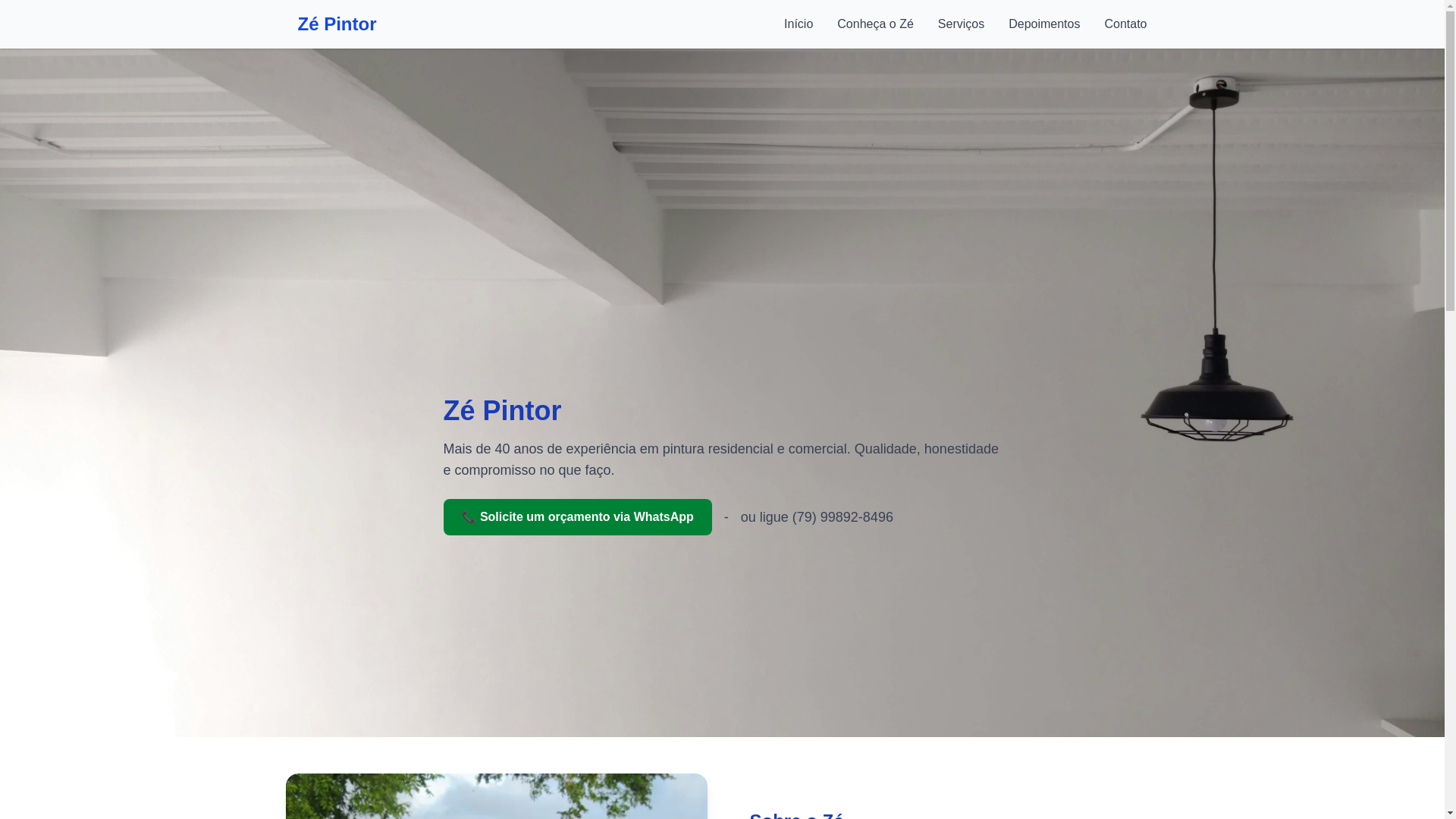 website screenshot of https://pintoraracaju.com.br/