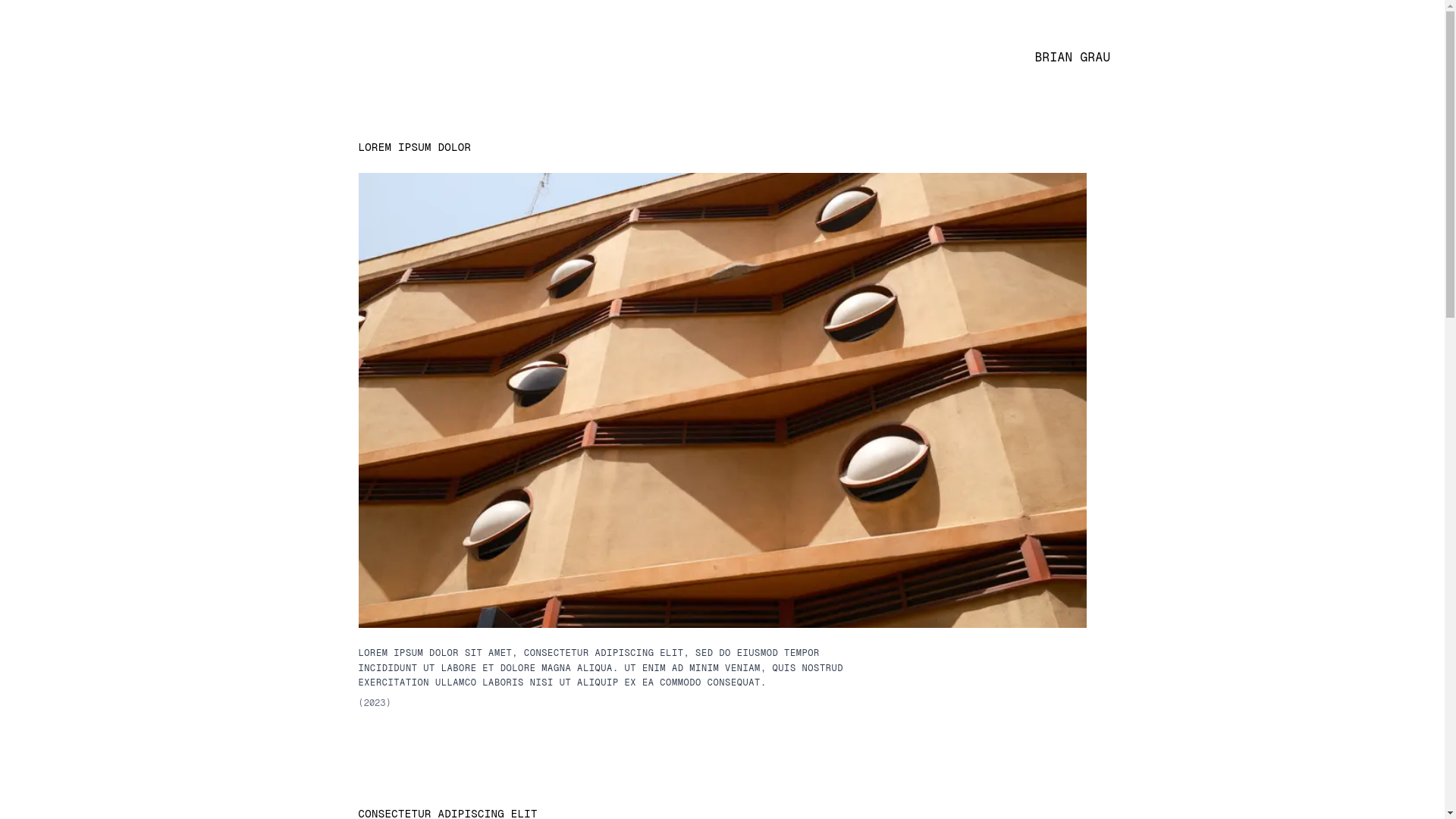 website screenshot of https://graubrian.com/