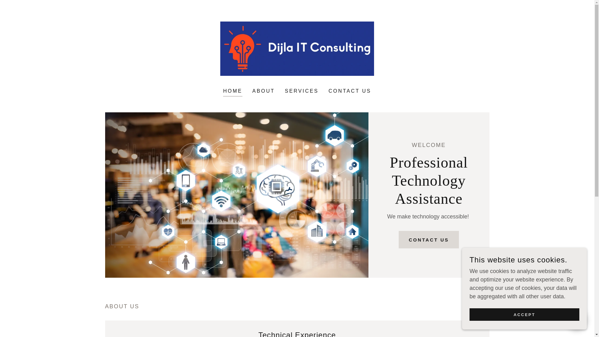 website screenshot of https://dijlaconsulting.online/
