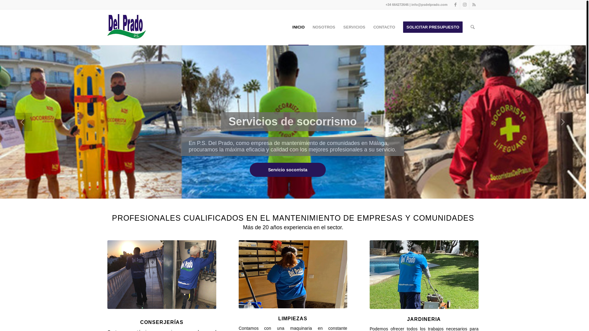 website screenshot of https://www.psdelprado.com/