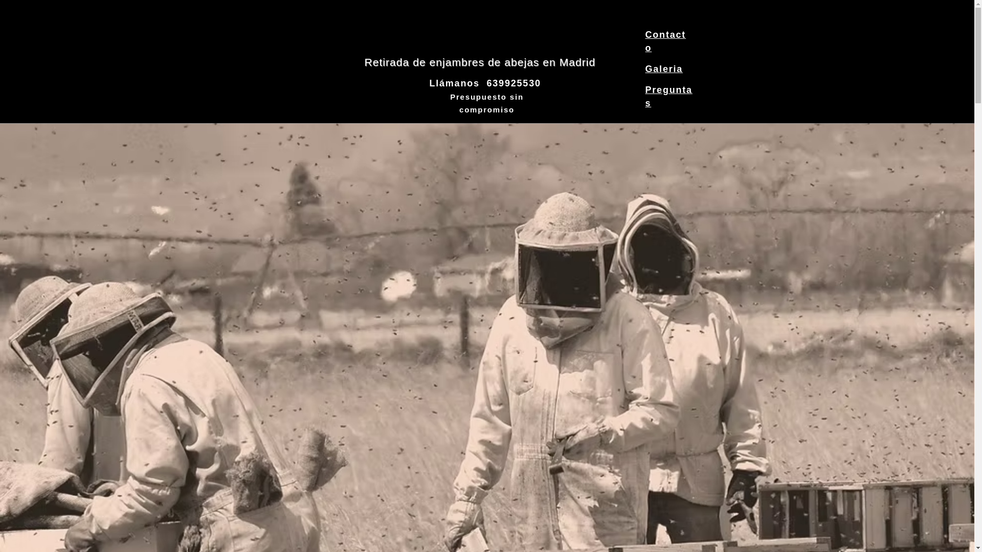 website screenshot of https://abejasencasa.com/