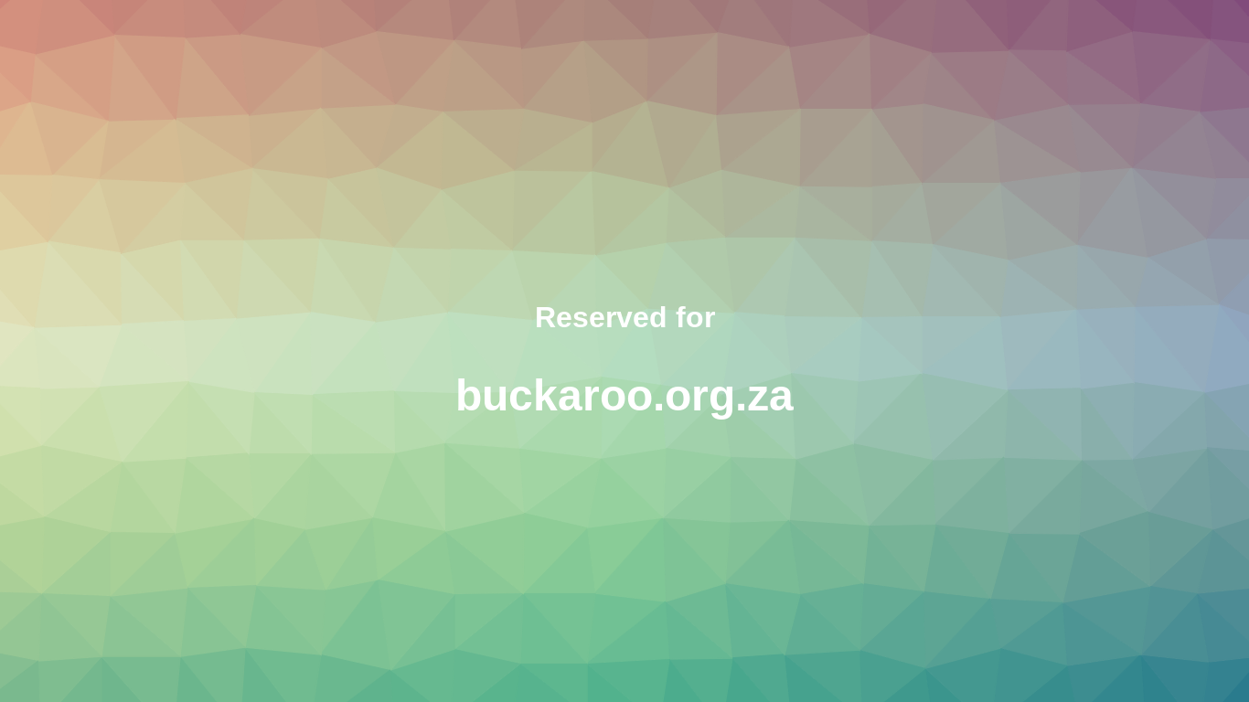 website screenshot of https://buckaroo.org.za/