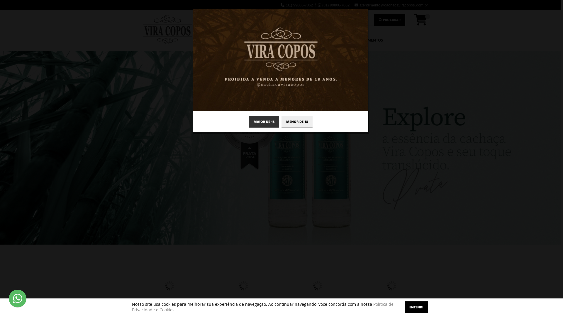 website screenshot of https://viragin.com.br/