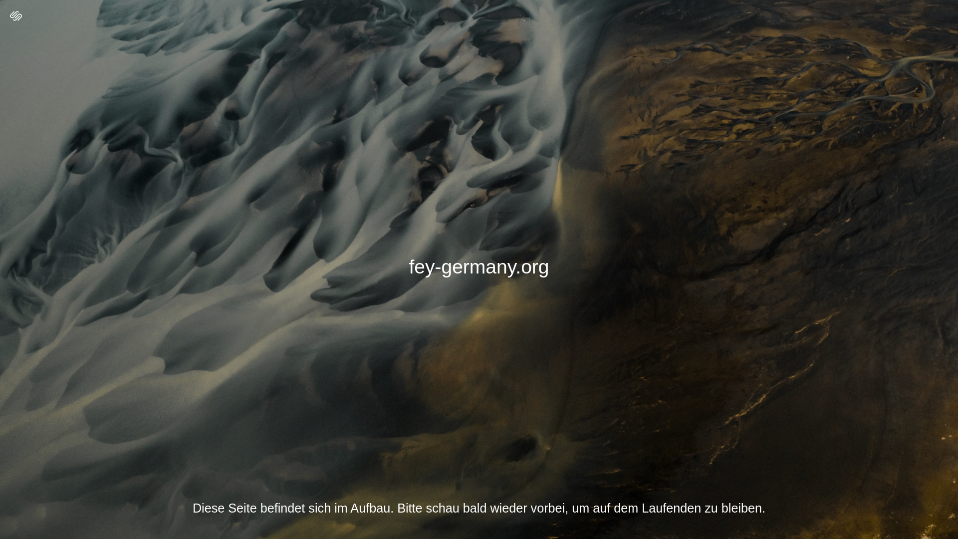 website screenshot of https://fey-germany.org/
