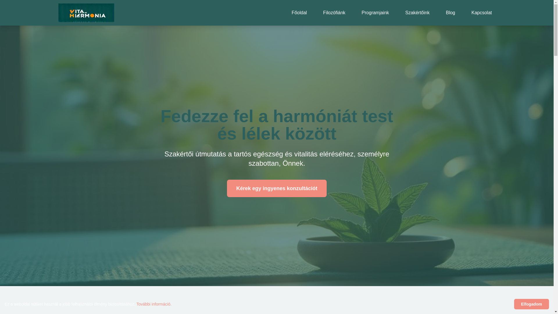 website screenshot of https://fitelethub.info/