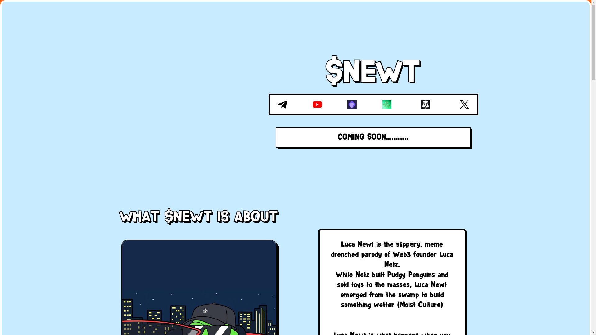 website screenshot of https://lucanewt.xyz/