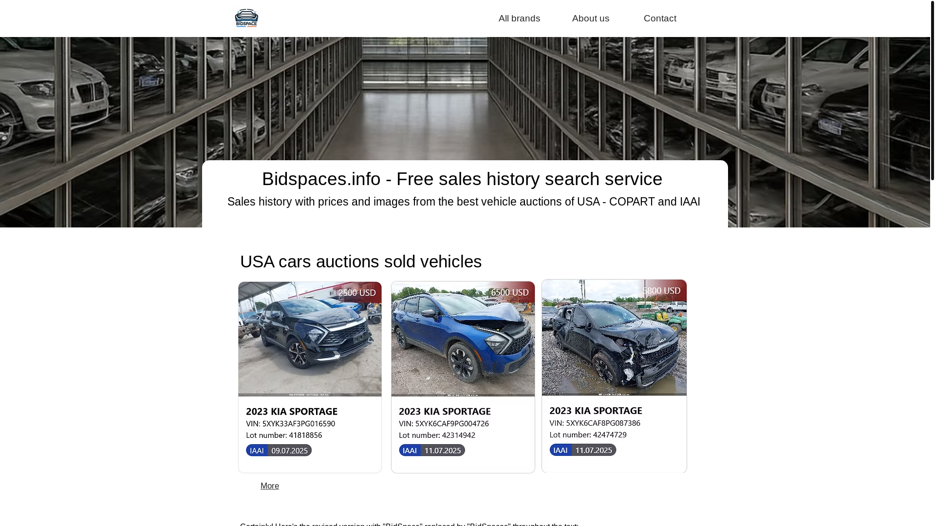 website screenshot of https://bidspaces.info/