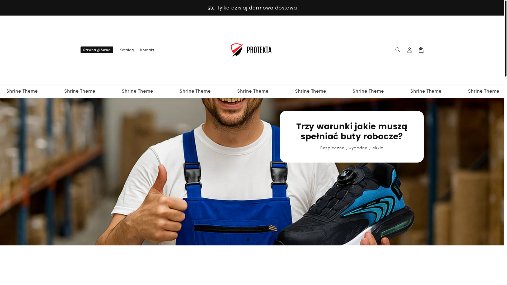 website screenshot of https://protekta.com.pl/