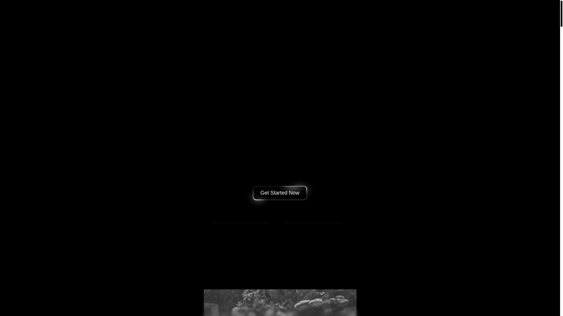 website screenshot of https://rpsargent.com/