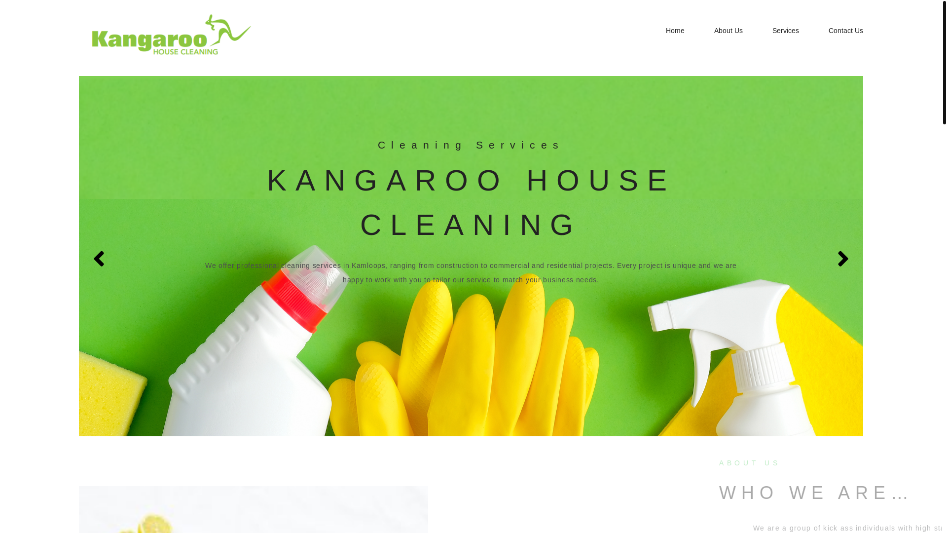 website screenshot of https://kangaroocleaning-ca.pages.dev/