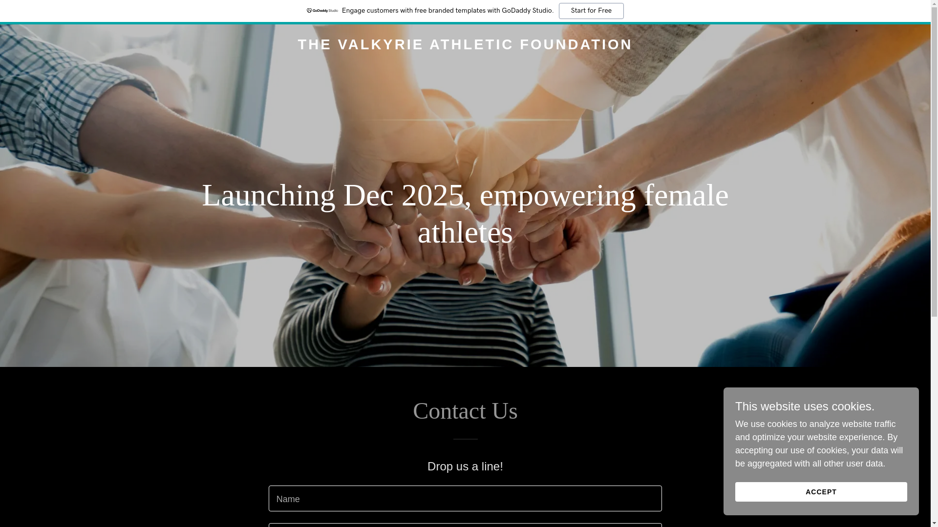 website screenshot of https://thevaf.co/