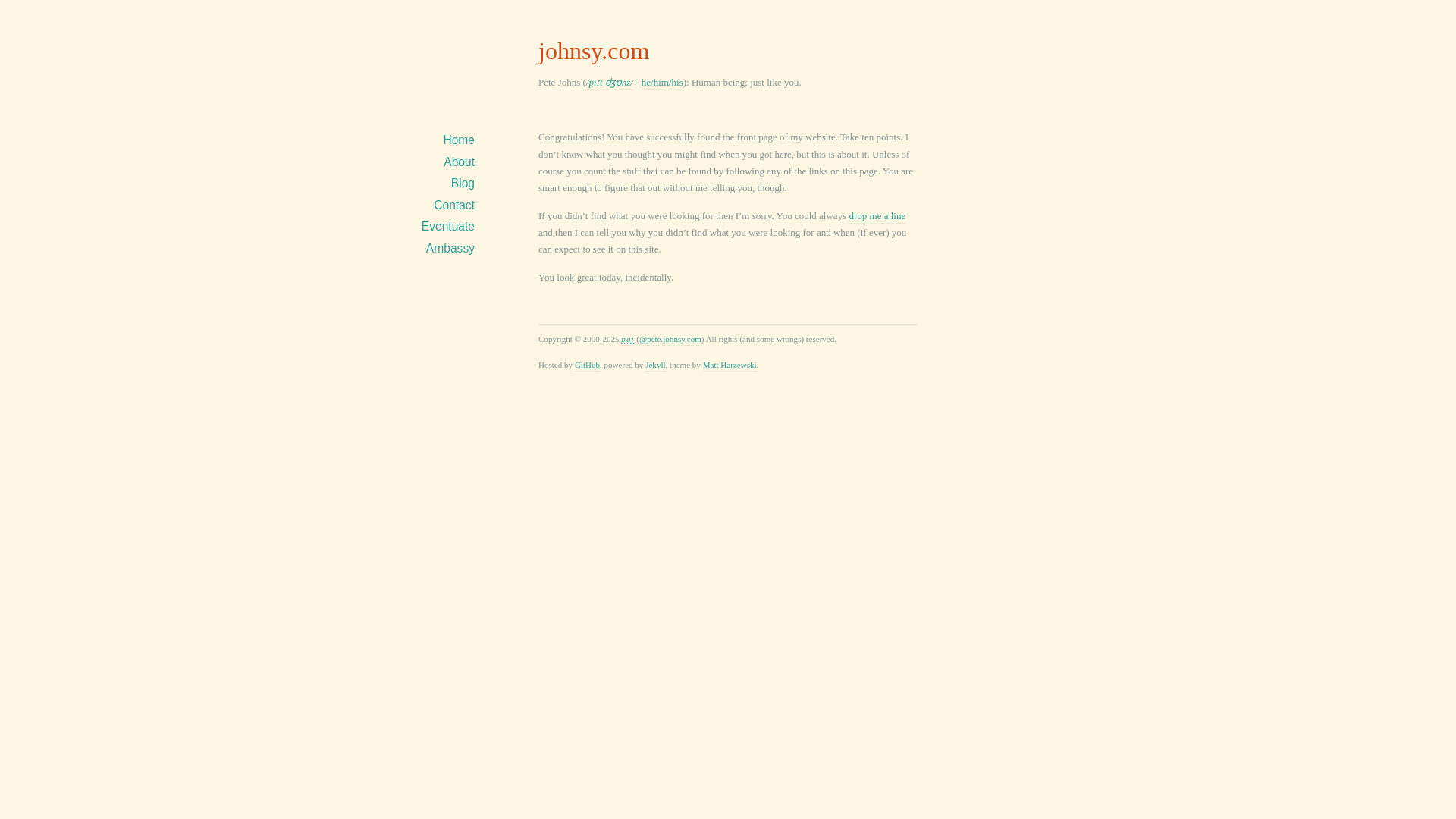 website screenshot of https://johnsy.com/