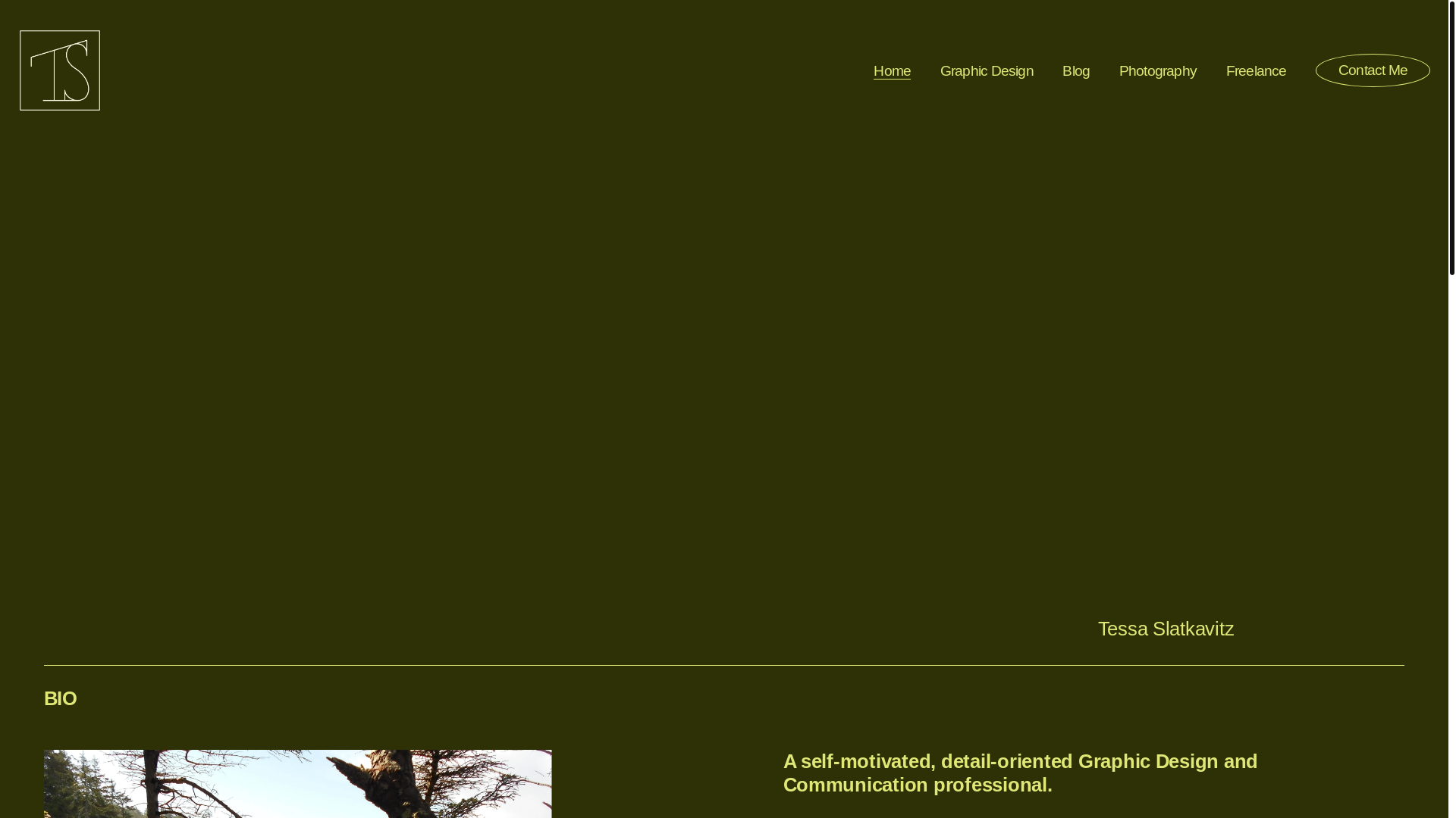 website screenshot of https://tessarchives.art/