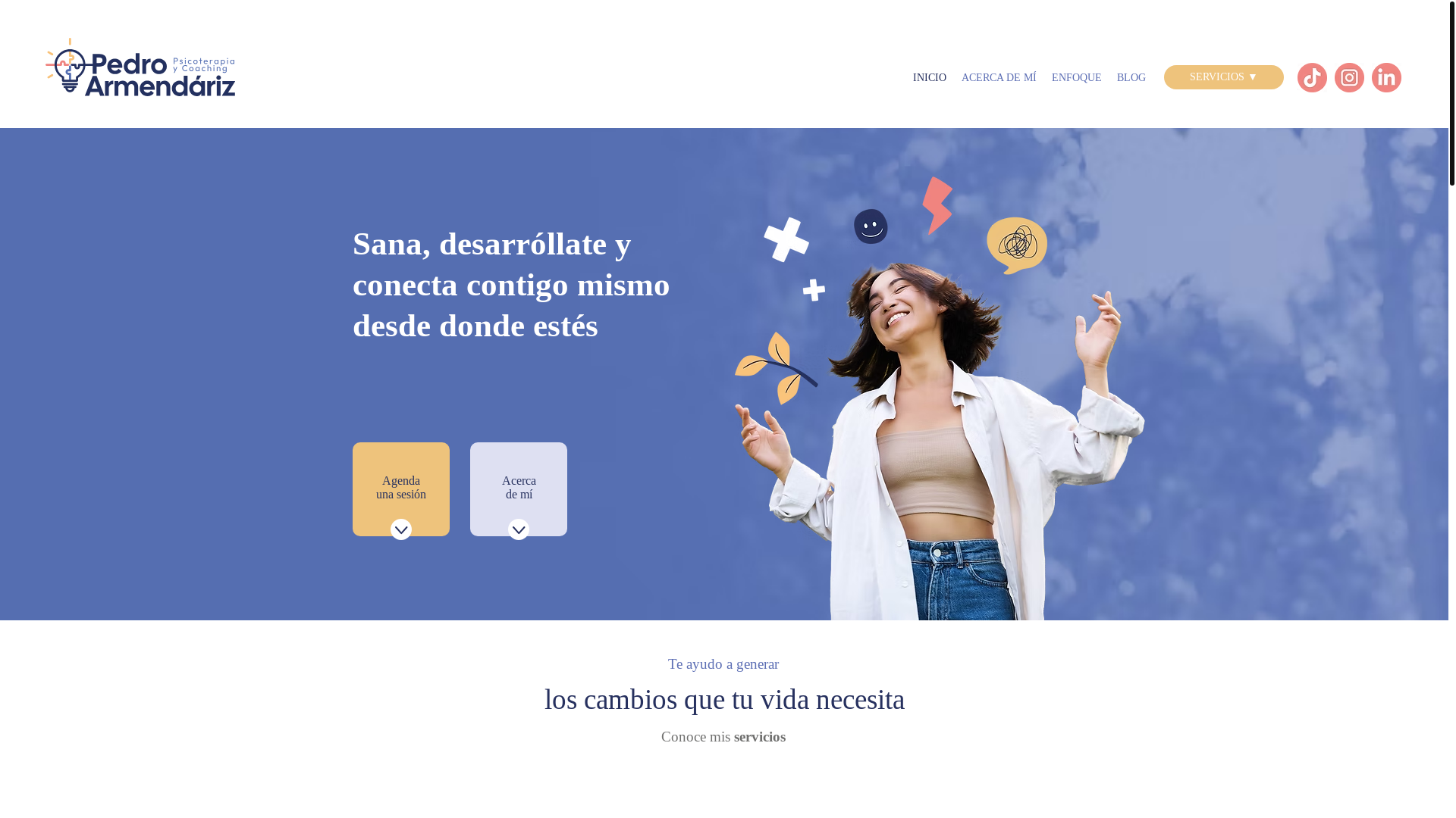 website screenshot of https://parmendariz.pe/