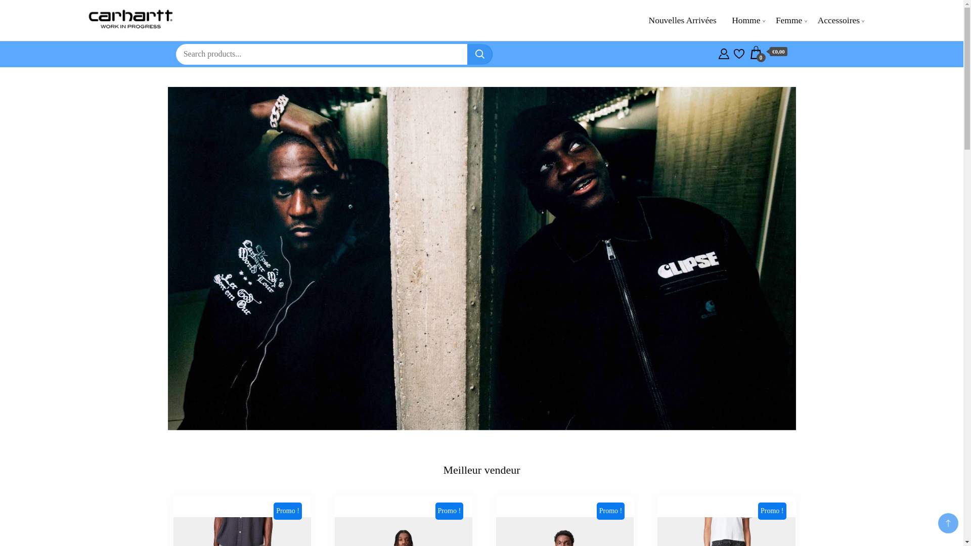 website screenshot of https://tiffaninicole.shop/